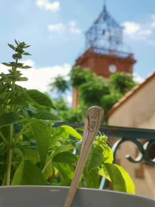 Casa Rosa, Un Petit Cocon Catalan Villa Ortaffa Eksteriør bilde